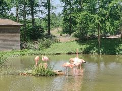 -宁波杭州湾国家湿地公园