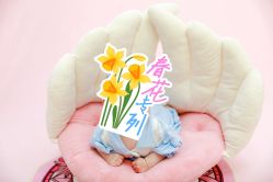 点击看大图 -Two Monkeys 孕婴写真馆(龙华店)