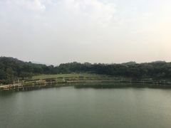 -东莞植物园