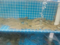 -聚德福海鲜家常菜(刘庄店)