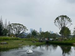 -上海植物园-4号门售票处