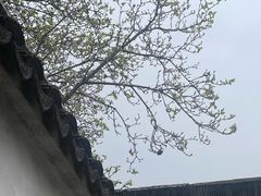 -艺圃