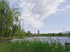 -西海子公园