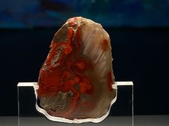 -北京大葆台遗址博物馆