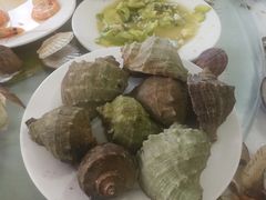 -兴旺渔家