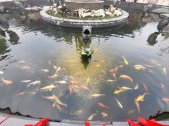 -上海东林寺(金山区)