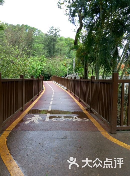 东湖公园(爱国路)图片 - 第1张