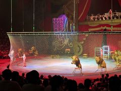 -珠海横琴长隆《卡卡虎奇遇记》