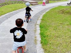 -八爪矩阵极限运动馆·儿童平衡车·感统训练(南海子公园校区)