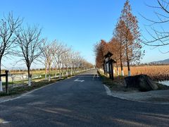 -漩门湾国家湿地公园