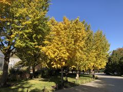 -国家植物园南园