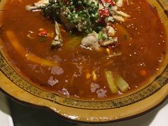 -阿英煲(凉城路店)