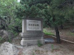 -白水寺森林公园