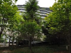 -北京周口店北京人遗址博物馆