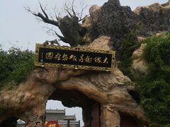 -大槐树寻根祭祖园
