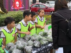 -上海市普陀区海贝尔幼儿园