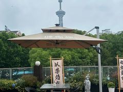 -颂福楼·南京菜(定淮门店)