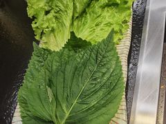-臻牛烤肉