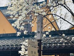 -龙华寺