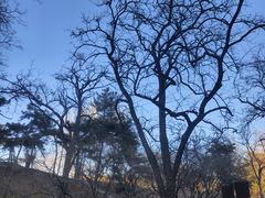 -元大都城垣遗址公园