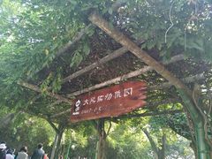 -成都大熊猫繁育研究基地