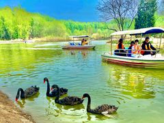 -北京野生动物园