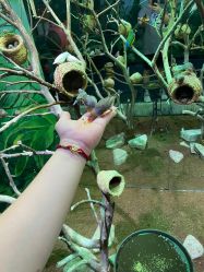 -Zoolung Zoolung动物主题公园(海信广场店)