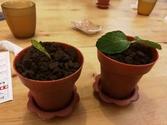 -雷门拉面·现熬骨汤(凯德来福士店)