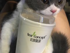 -云顶新茶(中洲店)