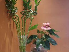 -阿三生煎(正弘城店)