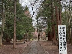 -北海道神宫