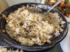 -煲来饱去冷水鱼