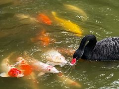 -珠海圆明新园