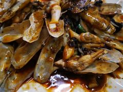 紫苏炒圣子-南记食粥坊·宵夜大排档(南桂店)