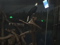 -北京动物园