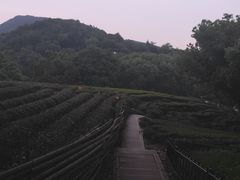-西湖风景区十里琅珰-五云山