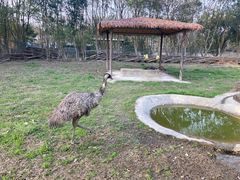 -宁波野生动物园