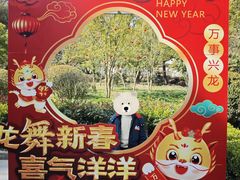 -上海佘山国家森林公园天马山园