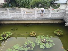 -卓刀泉寺