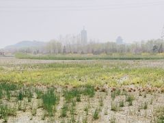 -永定河休闲森林公园