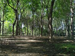 -永定河休闲森林公园