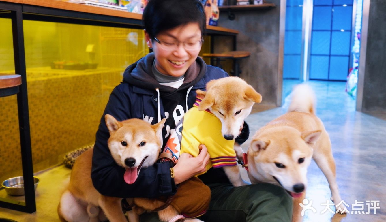 买书送了果壳网的狗年红包太可爱了