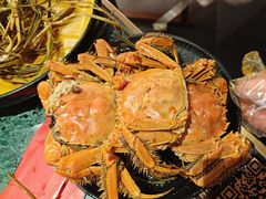 -牛New寿喜烧(曹路花园城店)
