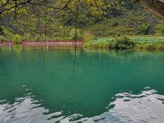 -靖西鹅泉风景区