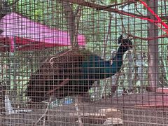 -粮心小农·大头虾亲子生态园(长发店)