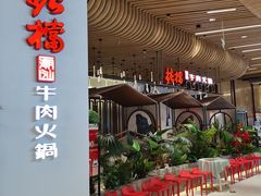 -掂档潮汕牛肉火锅(沈阳万象城店)