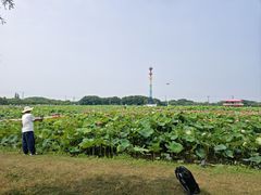-嘉北郊野公园