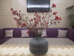 -女王传奇SPA·美容美体