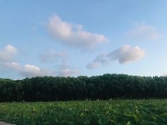 -梁鸿国家湿地公园