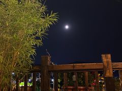 -巴倒烫陆派火锅山庄(南山总店)
